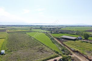Ayvalık Altınovada Satılık 12.708 M² Arazi