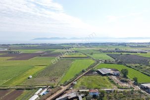 Ayvalık Altınovada Satılık 12.708 M² Arazi