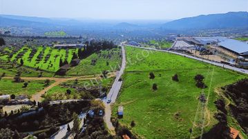 Foça Yeniköy'de Satılık Deniz Manzaralı Tarla