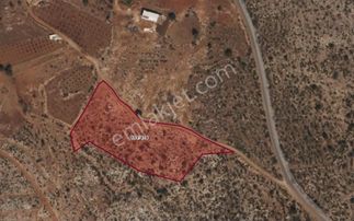 Mersin Aydıncıkta 12.772 M² Satılık Yatırımlık Tarla