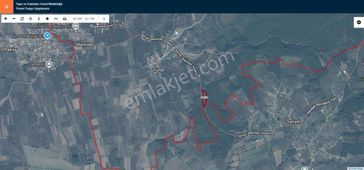 Sakarya Hendekte Satılık Fındıklık