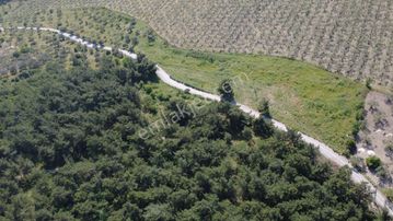 Yola Cephe 7000m2 Tek Tapu Arsa