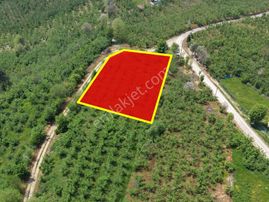 Emlakevim Den Hendek Gündoğan Mh Satılık 1000 M2 Arsa