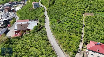Vyg'den Ortahisar Kutlugün Mahallesinde 2456 M2 Arsa