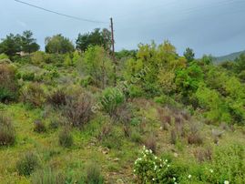 Mersin Anamur Melleç Satılık Tarla