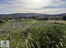 Okyanus Emlak'tan Satılık İmar İçerisinde Kalıyor 1380 M2