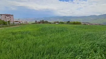 Akgün Kurumsaldan Kat Karşılığı Arsa Samsun İlkadım Kavacık