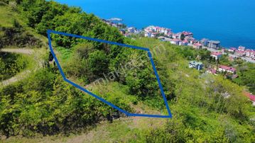 Trabzon Akçaabat'ta Satılık Arazi