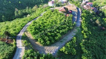 Trabzon'da Satılık Arsa