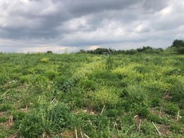 Cb King'den Gönen/kurtuluş Mahallesi 5222m² Satılık Ticari Arsa