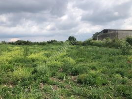 Cb King'den Gönen/kurtuluş Mahallesi 5222m² Satılık Ticari Arsa