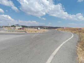 Sahibinden Satılık 12 Dönüm Tarla