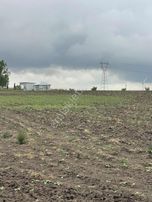 Delfa Yapı İnşaat Tan Satılık Tek Tapu Tarla İmara Yakın 7.118m2