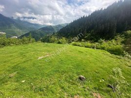 Trabzon Maçka'da Satılık Arazi