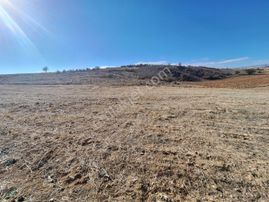 Korkuteli Bozova Da 19.000 M2 İmara 220 Mt