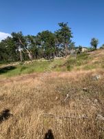 Stop’tan Göcek Merkeze 3km. 3850m² Arsa