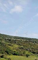 Arga'dan Didim Akyeniköyde 374m2 Satılık Arsa