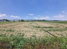 Rw Lıfe // Muttalıp Koyunlarda Satılık Tarla