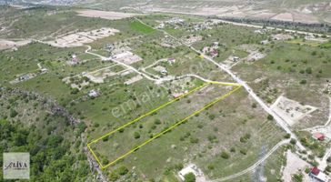 Liva'dan Reşadiye'de 7677 M² Tek Tapu Bağ