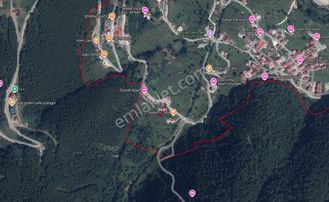 Trabzon Uzungölde Satılık 402 M2 Arazi