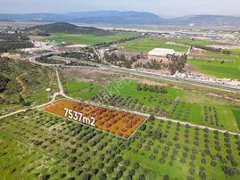 Satılık Bodrum Güllük Kavşağı Yakını Tarla