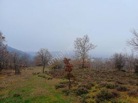 Doğa Harikası İmara Yakın Satılık Tarlamız Satılık