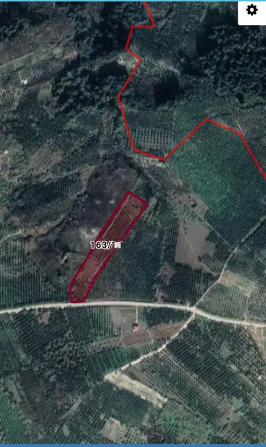 Ena Group Bursa Mudanya Çepni'de Asfalta Cephe 14443 M2 Bahçe Ena Group Bursa Mudanya Çepni'de Asfalta Cephe 14443 M2 Bahçe