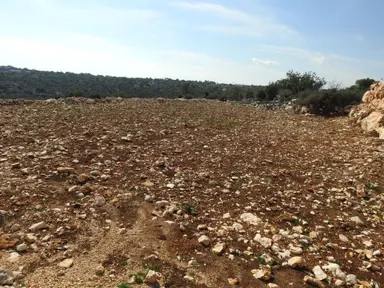 Narlıkuyu Hasanaliler De Deniz Ve Kale Manzaralı Satılık 1400 M2 Tarla!!!