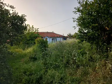 Bursa Karacabey Hayırlar Mhde Satılık Bahçeli Ev 2750m2 Bursa Karacabey Hayırlar Mhde Satılık Bahçeli Ev 2750m2