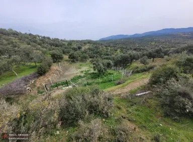 Akman'dan Havran'da 3 Yola Cepheli İmara Yakın Zeytinlik