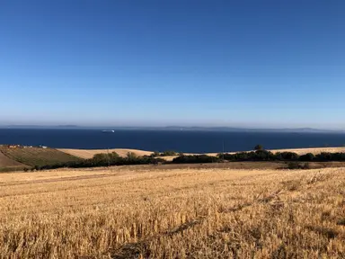 Şarköy De Işık Emlaktan Kızılcaterzi Mah De 8481 M2 Tarla