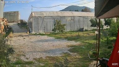Aslıhan Gayrimenkul'den Ören Kuzeyyurt Mahallesinde Satılık Muz Ve Avakado Bahçesi