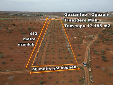 Oğuzeli Tınazdere Mah. 350 Adet Zeytin Ve Resmi Yol, Köy 1 Km