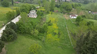 Kocaeli Karamürsel Çamdibi Satılık 593 M2 Hobi Bahçesi