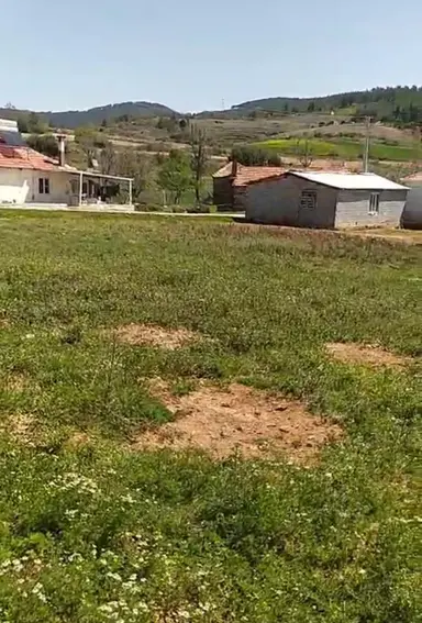 Satılık Arazi Ve Müstakil Ev Çiftlik Yapımına Uygun Aydın Bozdoğan Yeşilçam 77 Dönüm Satılık Arazi Ve Müstakil Ev Çiftlik Yapımına Uygun Aydın Bozdoğan Yeşilçam 77 Dönüm
