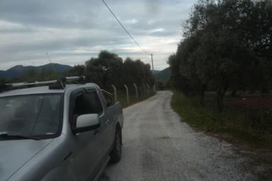 İzmir Torbalı Gold Emlaktan Satılık Zeytin Bahçesi