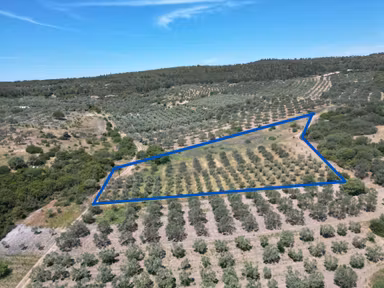 Çaltılıdere'de Kupon Satılık 4000m2