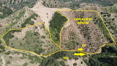 ✅✅ Nazilli Dereağzında 22 Dönüm Satılık Bahçe ✅✅