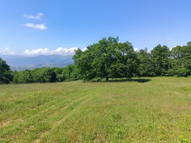 Gemlik Adliye De 6339m2 Yerleşime 1 Km Manzaralı Tarla Gemlik Adliye De 6339m2 Yerleşime 1 Km Manzaralı Tarla