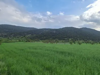 Asya Emlaktan Burdur Ağlasun Hisarköy De Satılık Fırsat Tarla