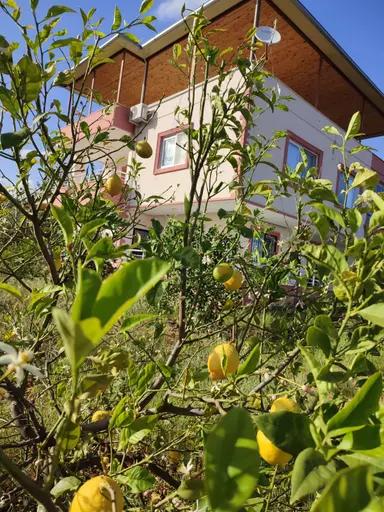Narlıkuyu’da Satılık Muhteşem Manzaralı Müstakil Villa