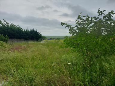 Büyükçekmece Eskice De Tek Tapu 500 M² Tel Çevrili Kapılı Kuyusu Var Meyve Ağaçları Var Yolu Var