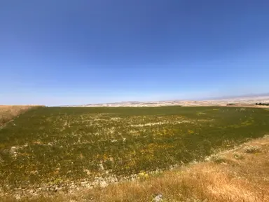 Ayaşın En Güzel Köyünde 37.191 M2 Harika Konumda Altyapılara Yakın Yatırımlık Satılık Tarla