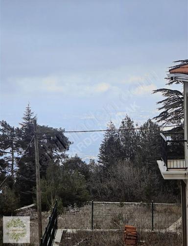 Villa Tadında 2 Katlı Sıfır Ev