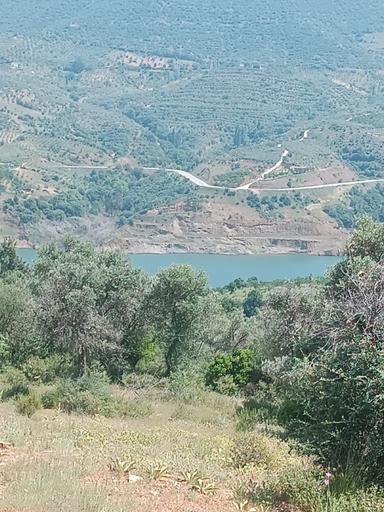 Doğa Gayrimenkul'den İzmir'de Kaçırılmayacak Baraj Manzaralı Zeytinlik Doğa Gayrimenkul'den İzmir'de Kaçırılmayacak Baraj Manzaralı Zeytinlik