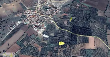 Karacabey Çavuş Mahallesinde Araç Takaslı Satılık Arazi Karacabey Çavuş Mahallesinde Araç Takaslı Satılık Arazi