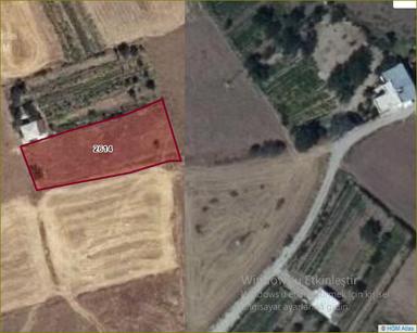 Özpınar ,dan Çavuş Köyünde Satılık Sulu Tarla 1225 M2.elektrik Alınabilir.