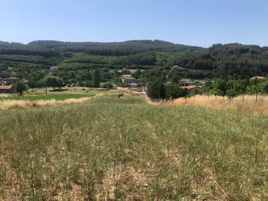 Şarköy De Işık Emlaktan Gölcuk Mah De İki Tapu 4750 M2 0/75 İmarlı Arsa