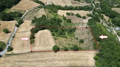 Kocaeli Karamürsel Avcıköy Satılık Tarla 8791 M2