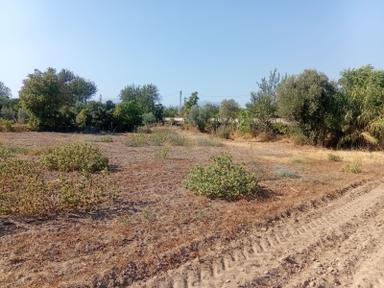 Hamzallı Köyüne Yakın Beşeylül Yolu Üzeri İdeal Bir Hobi Bahcesi... Hamzallı Köyüne Yakın Beşeylül Yolu Üzeri İdeal Bir Hobi Bahcesi...